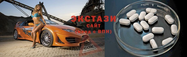 гашик Алексин