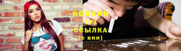 гашик Алексин
