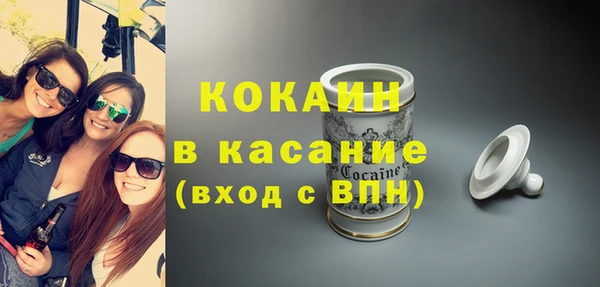 гашик Алексин