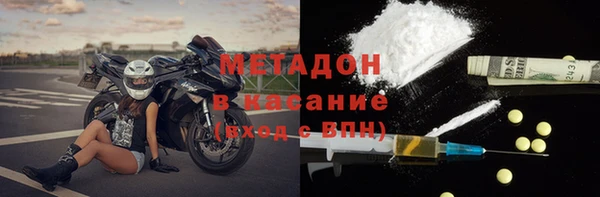 гашик Алексин