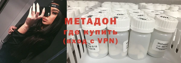 гашик Алексин