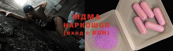 гашик Алексин