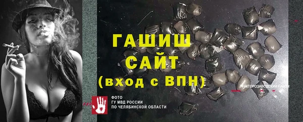 гашик Алексин