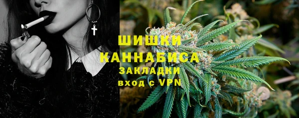 индика Абаза