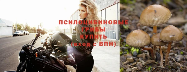 гидропоника Алзамай