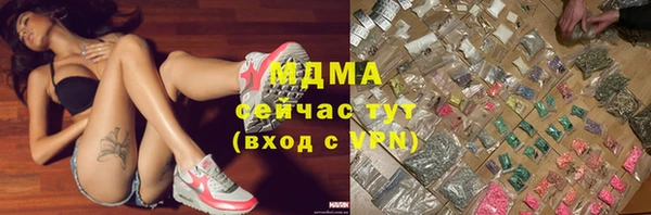 гашик Алексин