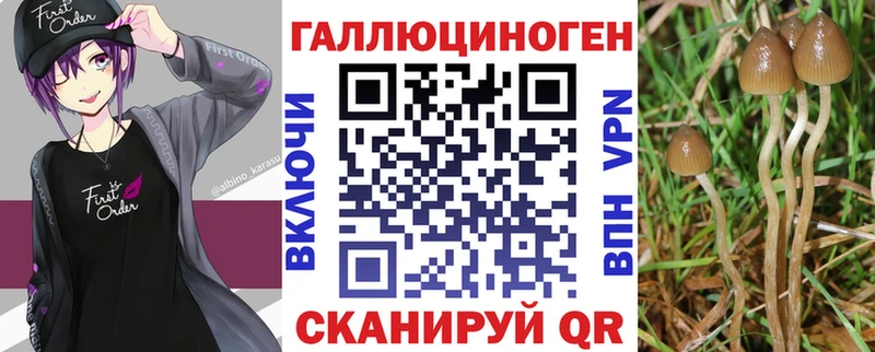 Псилоцибиновые грибы мухоморы  продажа наркотиков  блэк спрут зеркало  Злынка 